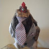 daltonmoose1